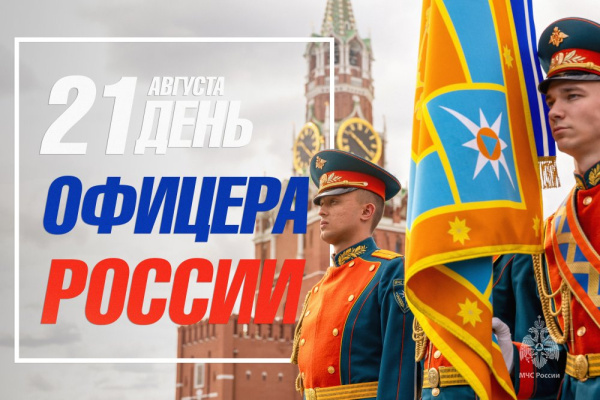 Господа офицеры!